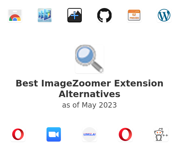 Best ImageZoomer Extension Alternatives