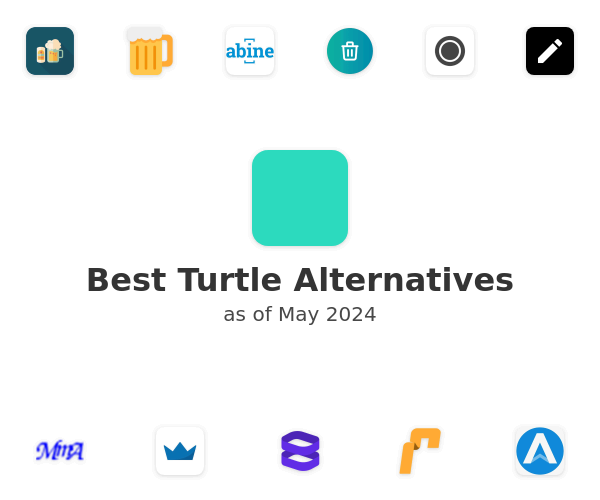 Best Turtle Alternatives