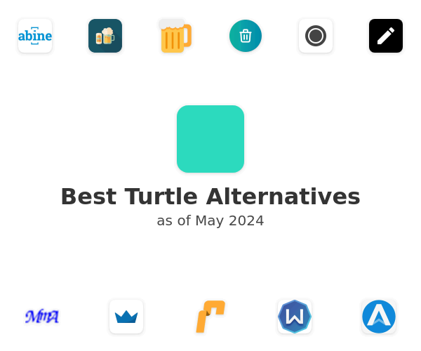 Best Turtle Alternatives