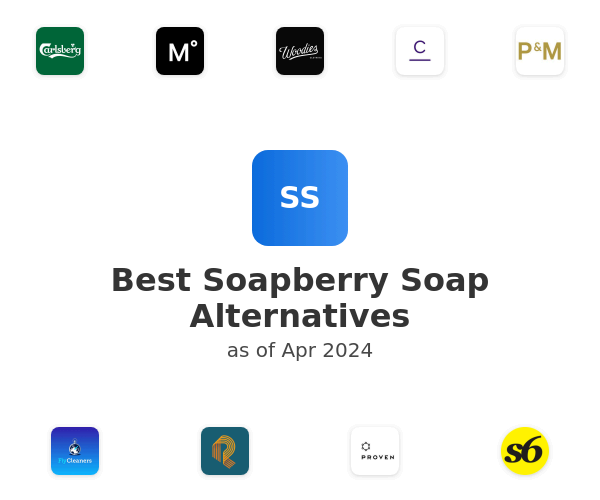 Best Soapberry Soap Alternatives