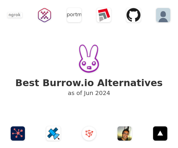 Best Burrow.io Alternatives