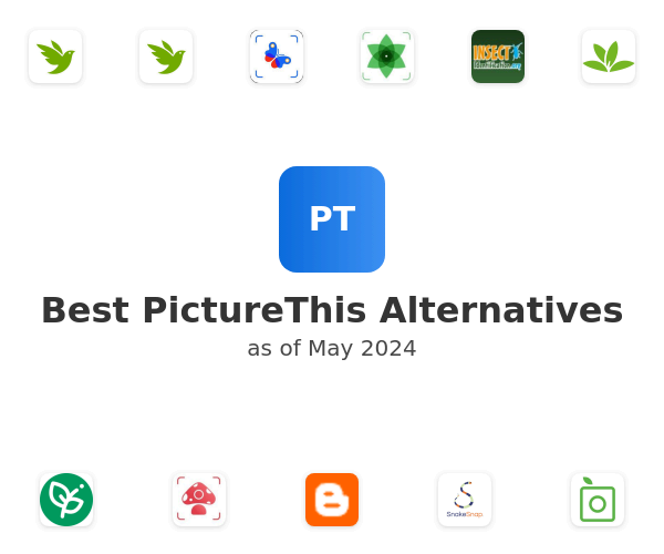 Best PictureThis Alternatives