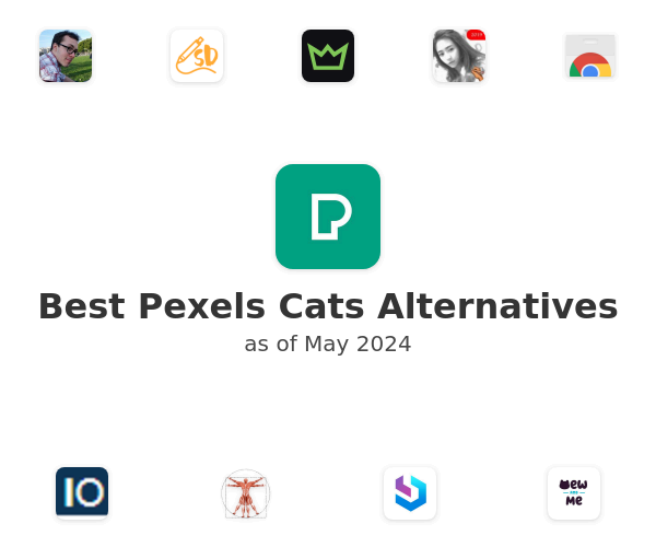 Best Pexels Cats Alternatives