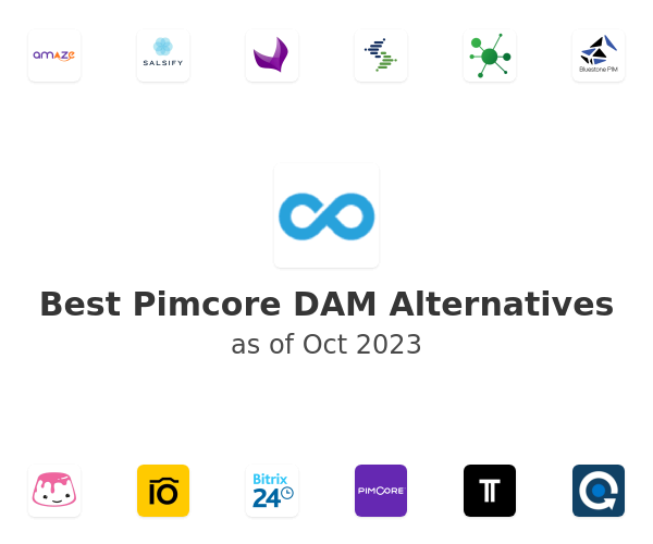 Best Pimcore DAM Alternatives