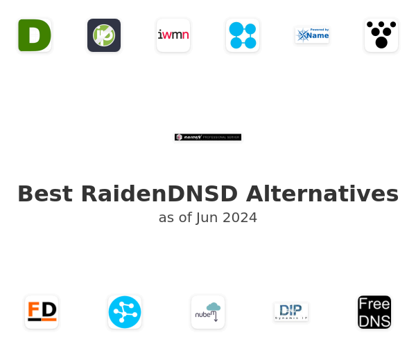Best RaidenDNSD Alternatives