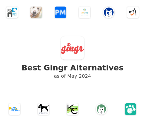 Best Gingr Alternatives