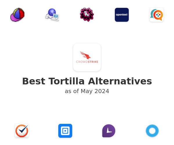 Best Tortilla Alternatives