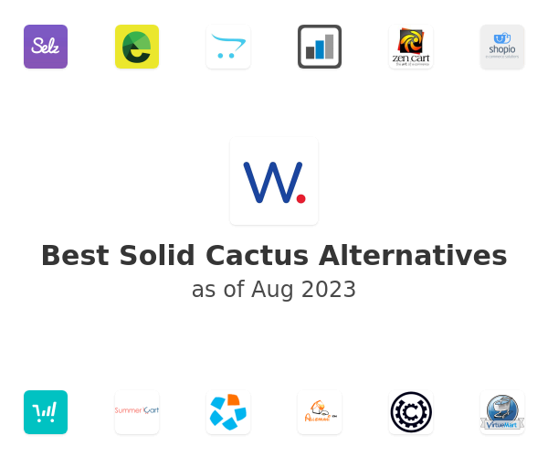 Best Solid Cactus Alternatives