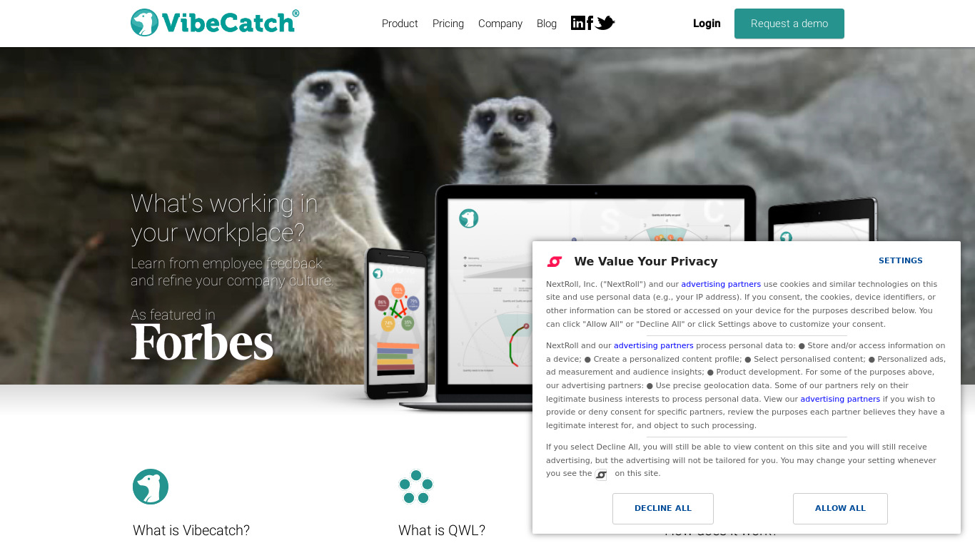 VibeCatch Landing page