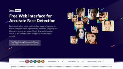 FaceMaze.io image