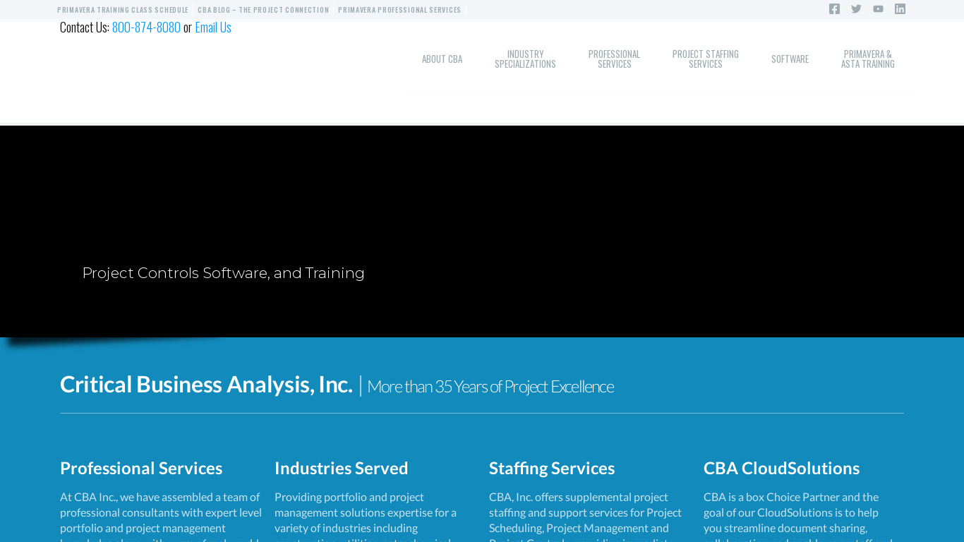 Critical Business Analysis Landing page