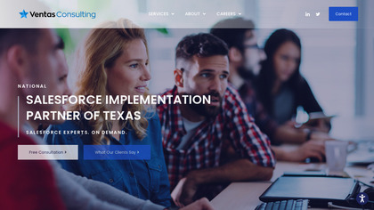 Ventas Consulting image