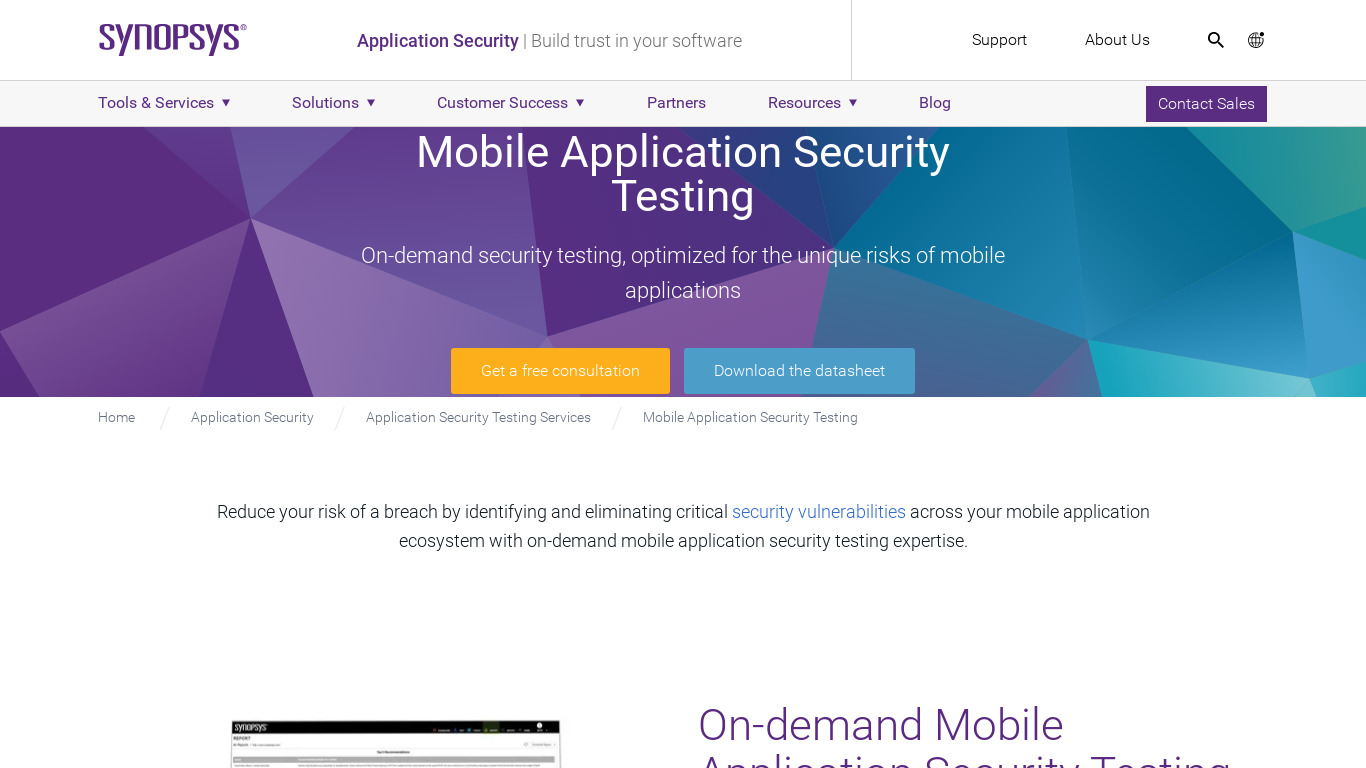 Synopsys Mobile Application Security Testing Landing page