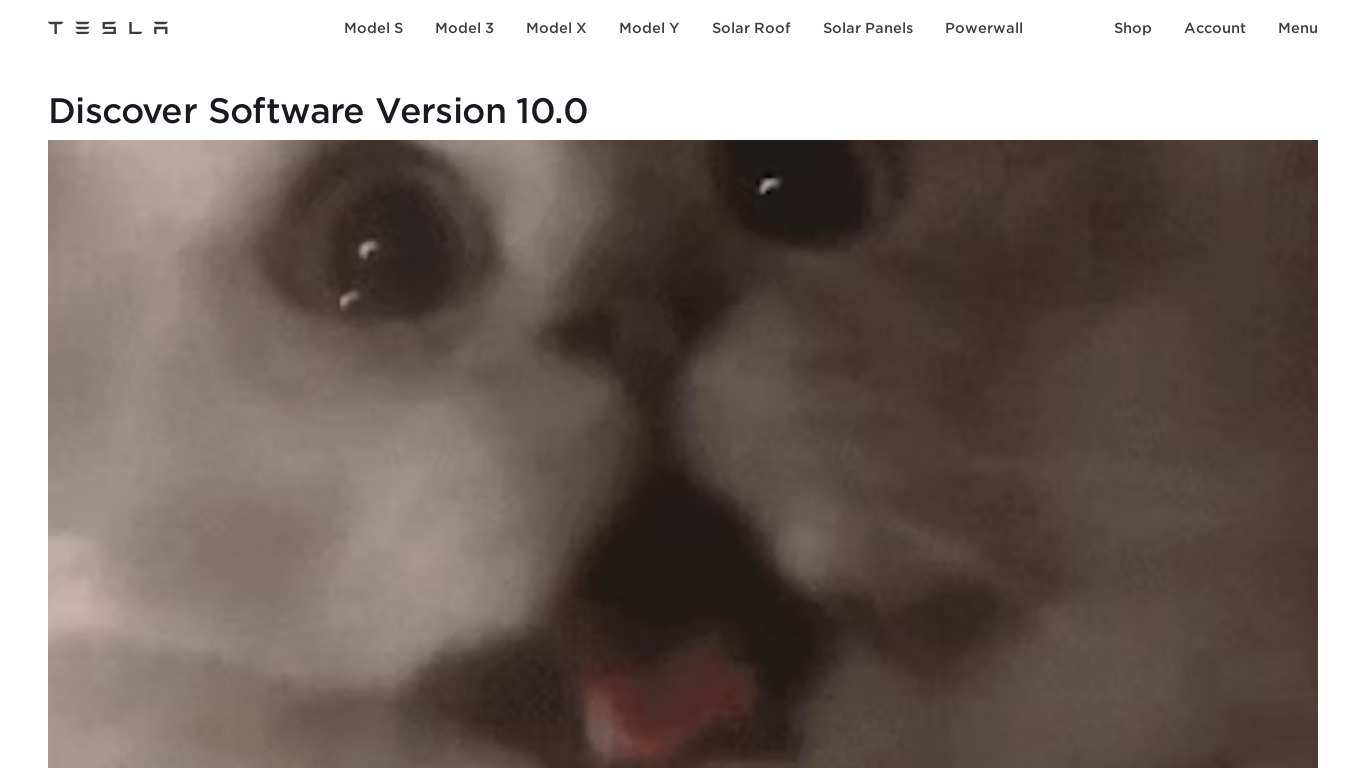 Tesla Software Version 10.0 Landing page
