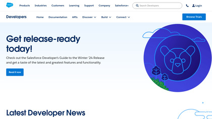 Salesforce Development image