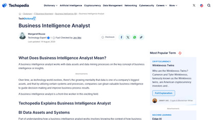 Business Intelligence Analyzers image