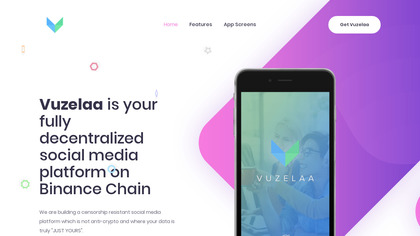 Vuzelaa image
