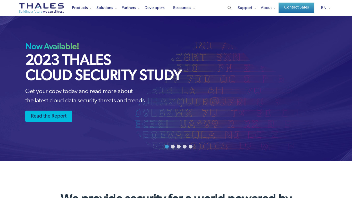 SafeNet Identity and Data Protection Landing page