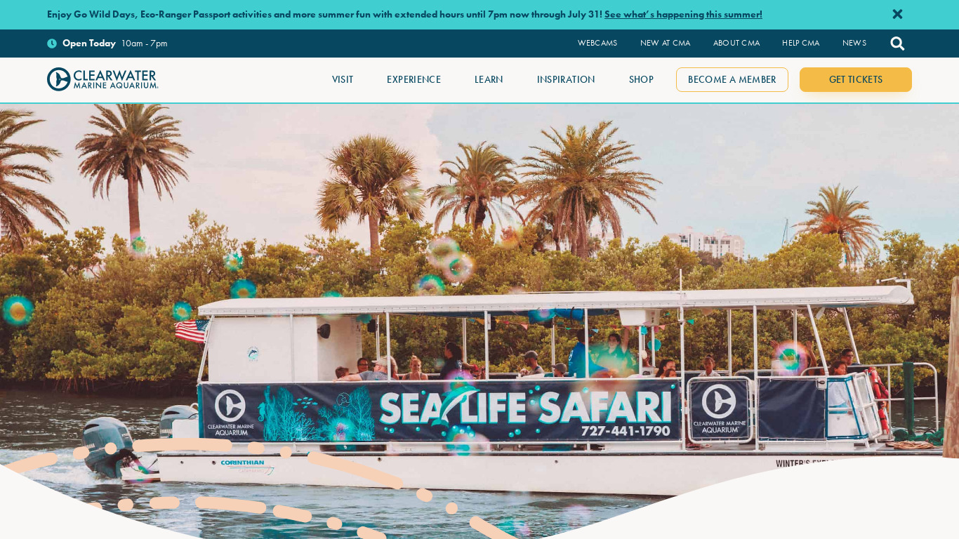 Sealife Safari Landing page