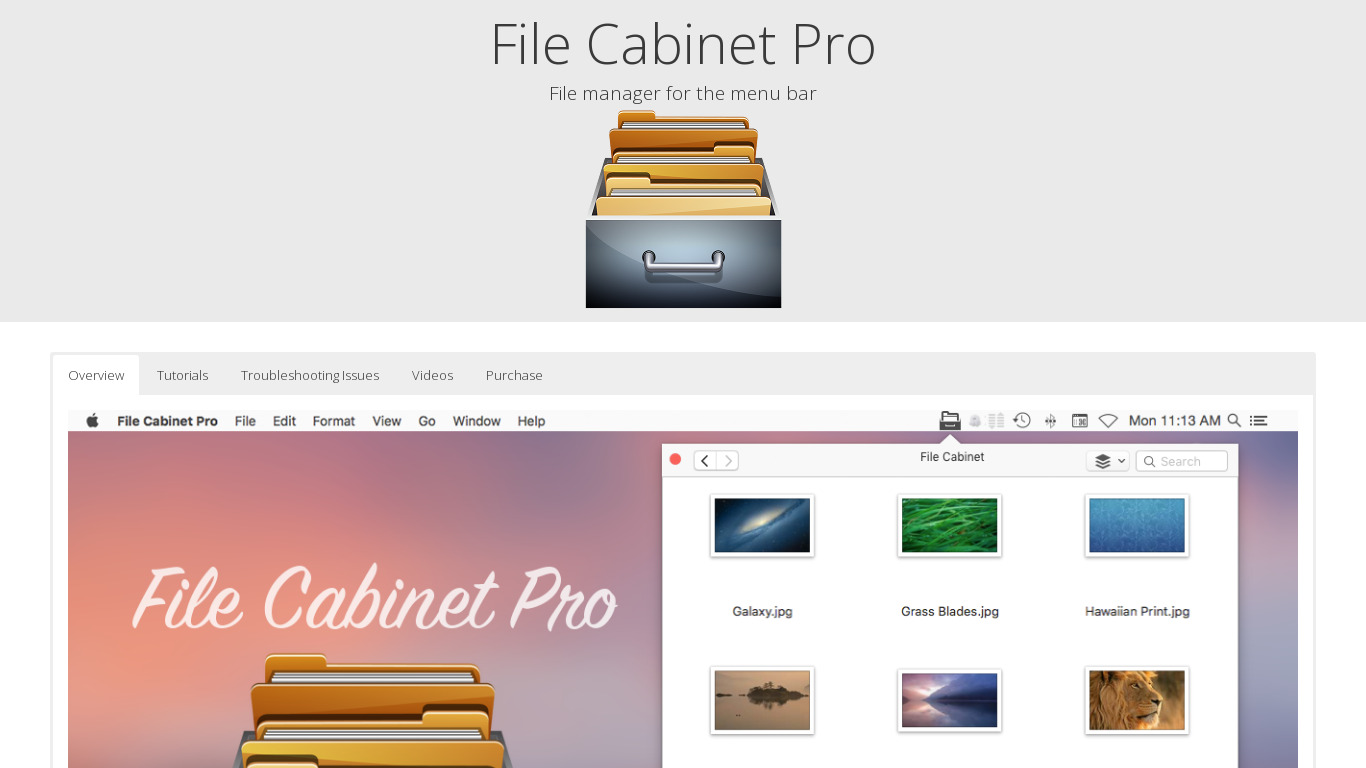 File Cabinet Pro Landing page