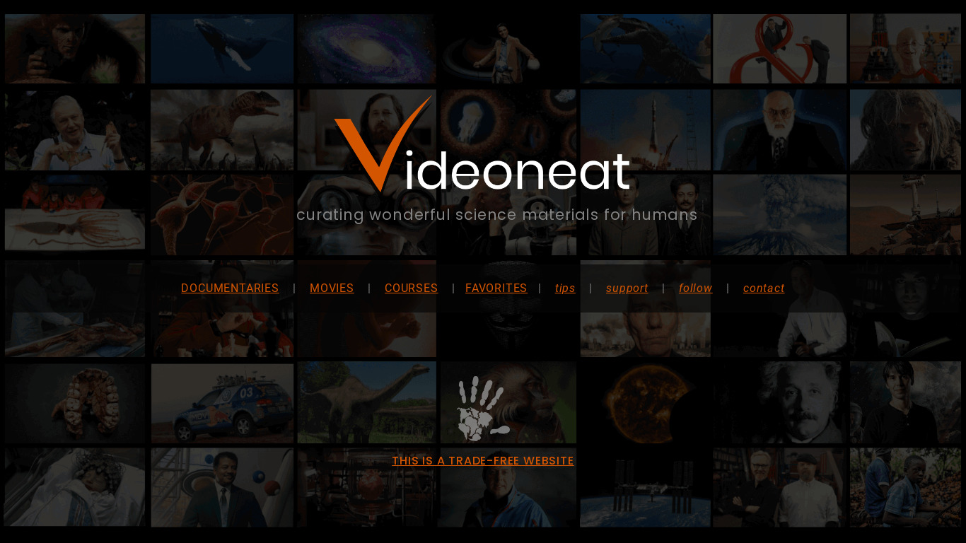 VideoNeat Landing page