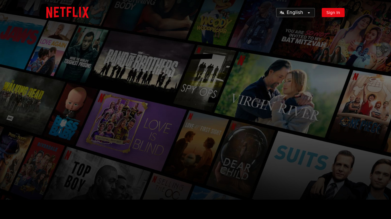 Netflix Landing page