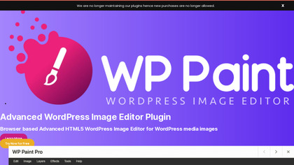 WP Paint Pro screenshot