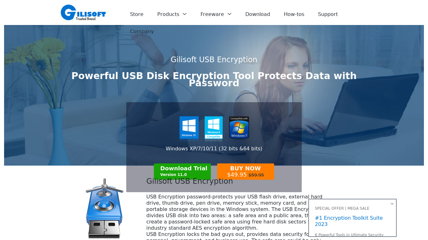 Gilisoft USB Stick Encryption Landing page