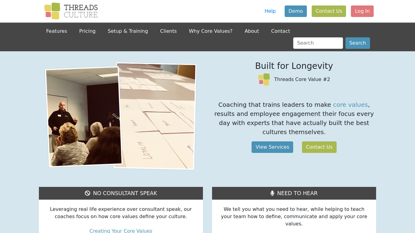 Threads Culture Coaching Services Landing page