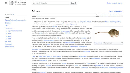 Mouse image