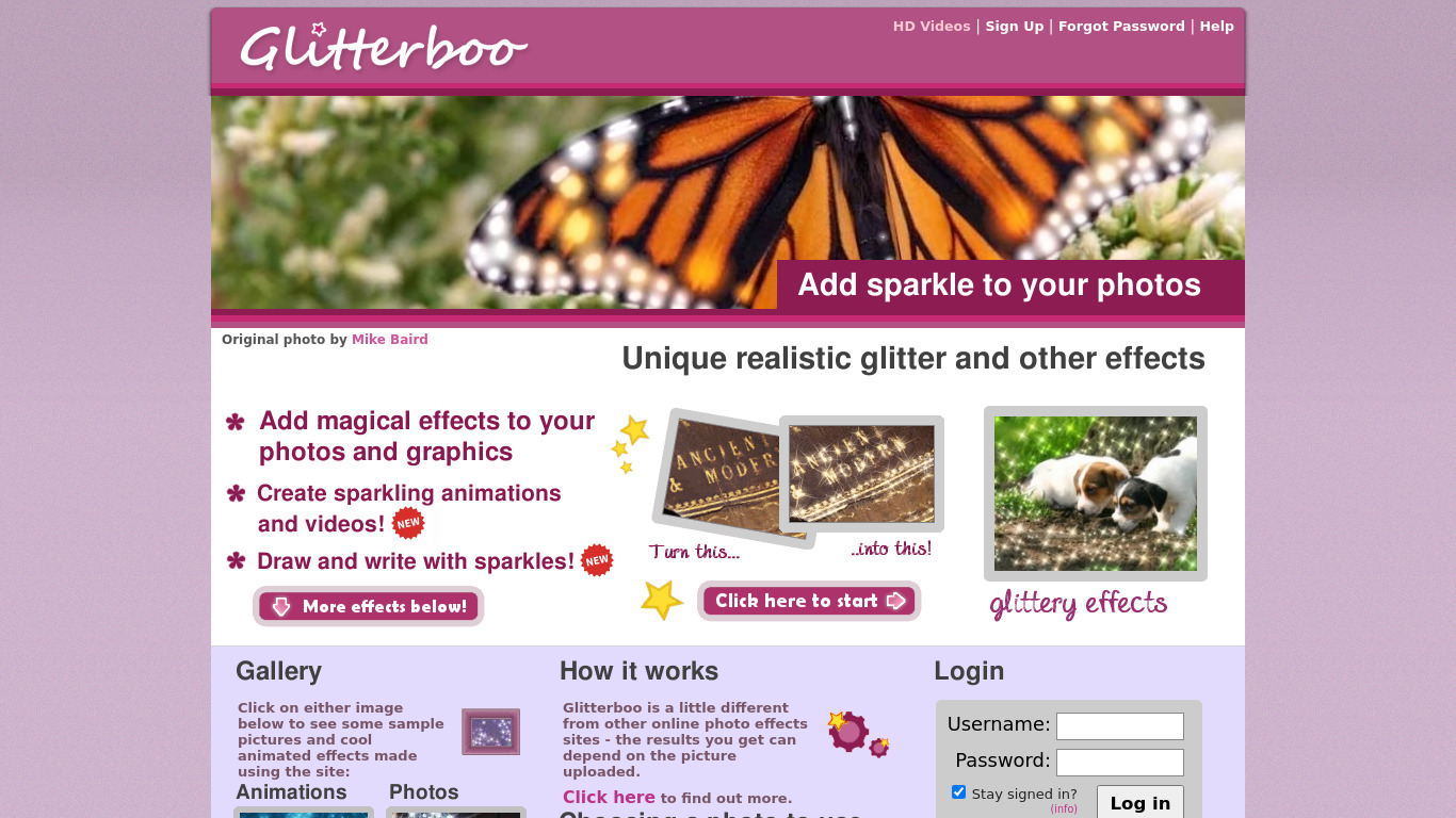 Glitter Moving Photo Effects Live Landing page