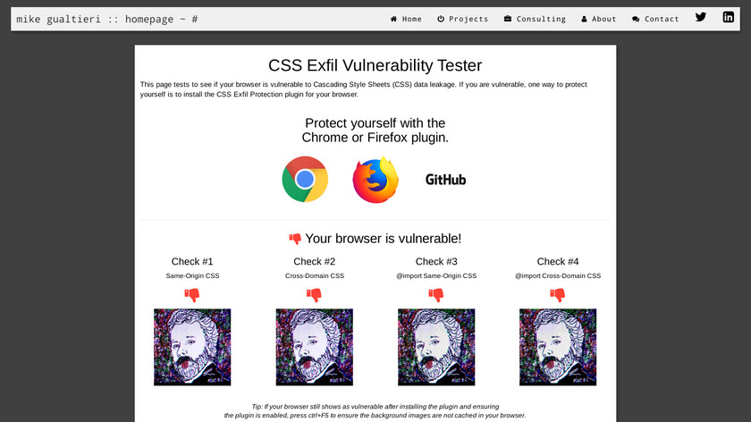 CSS Exfil Protection Landing Page