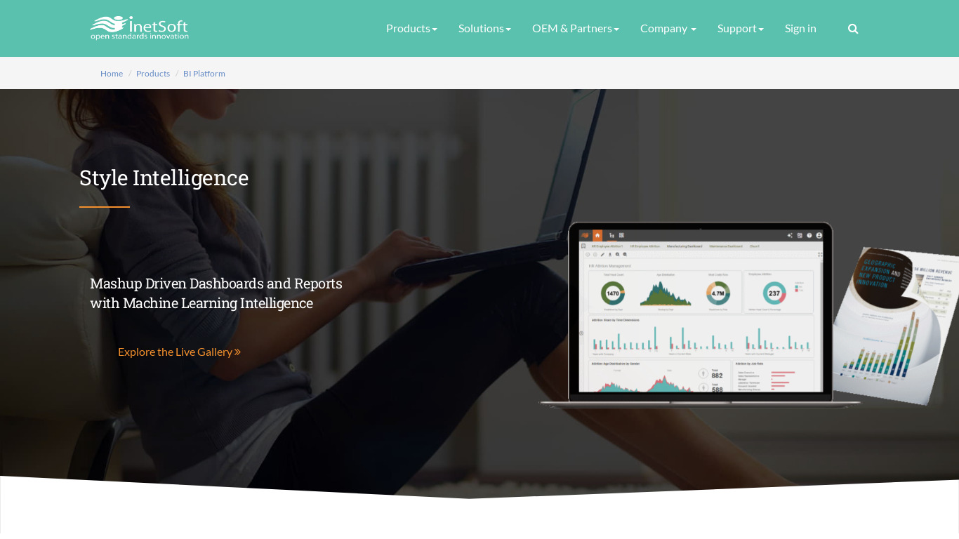 InetSoft Style Landing page