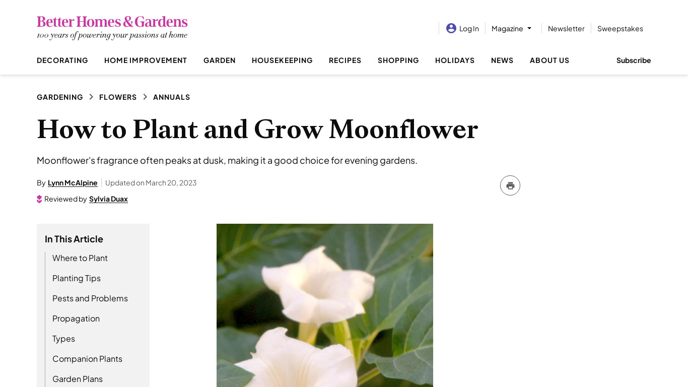 Moonflower Landing page