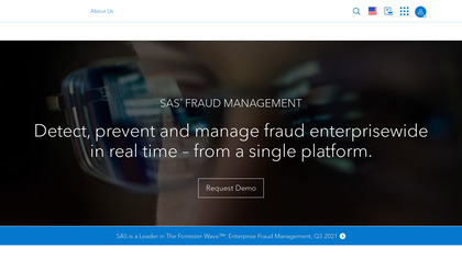 SAS Fraud Management image