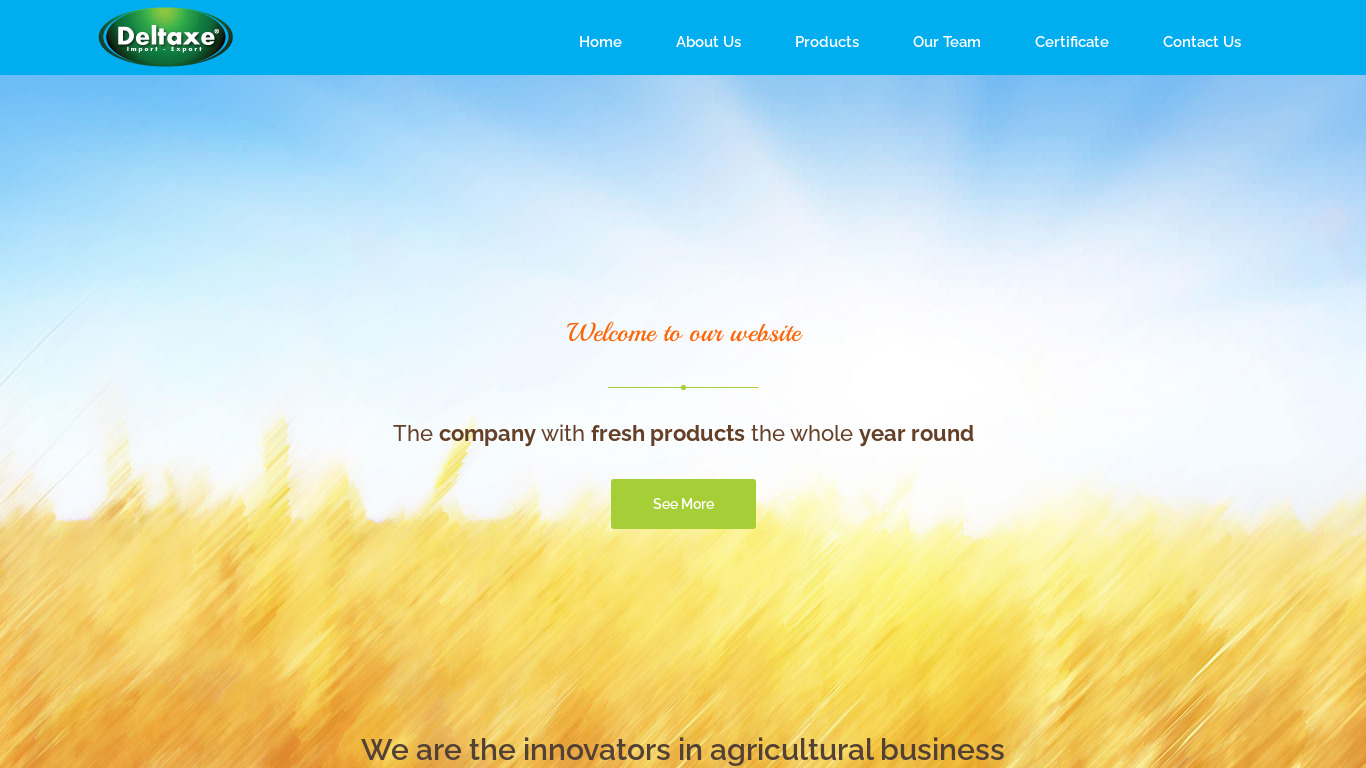 DeltaXE Landing page