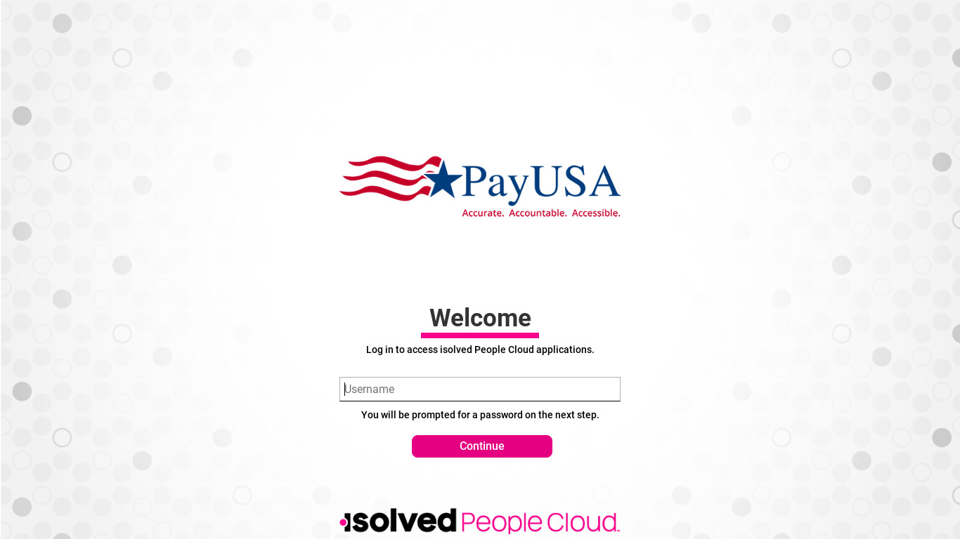 PayUSA Landing page