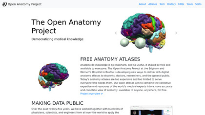 Open Anatomy image