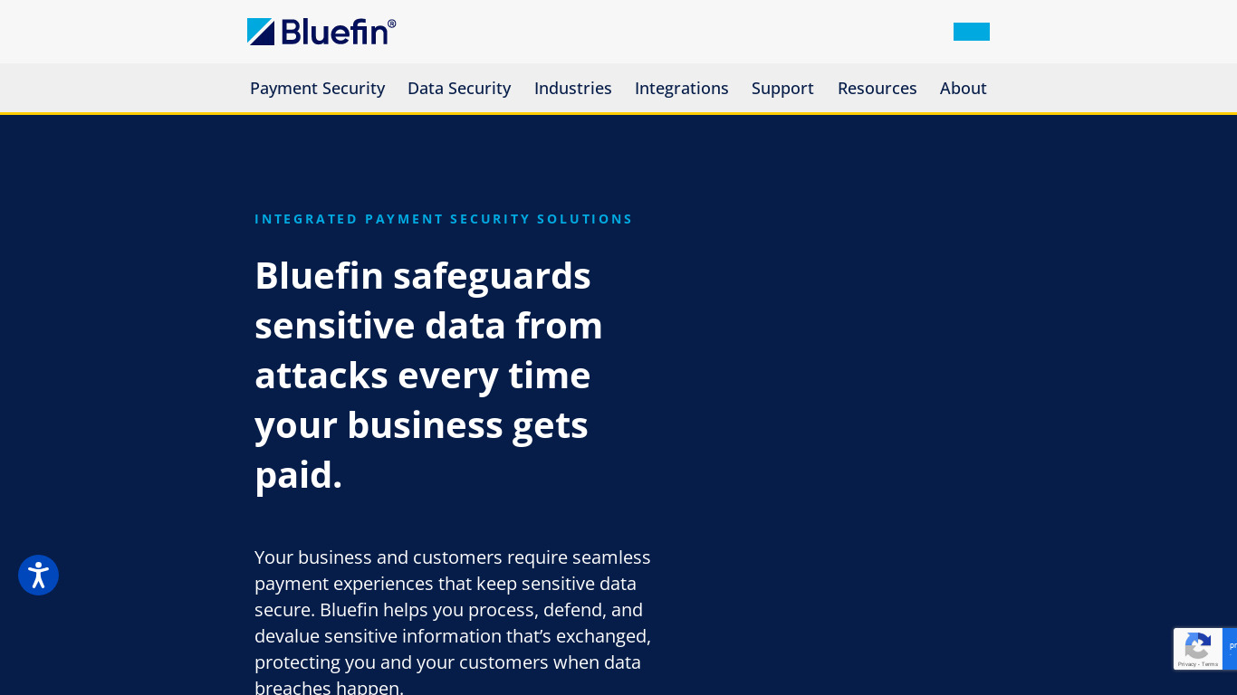 Bluefin Payment Systems Landing page