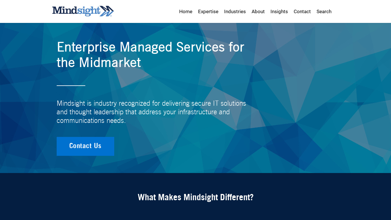 Mindsight Consulting Landing page