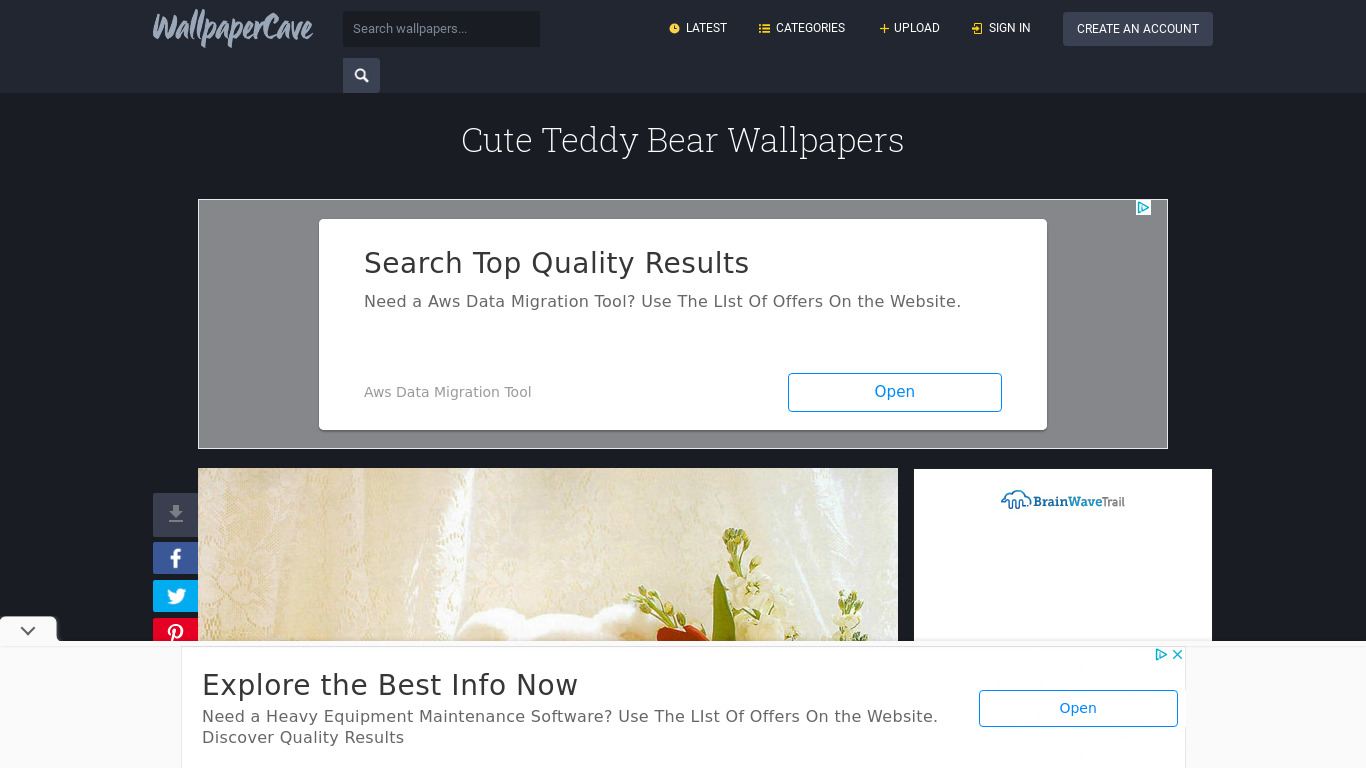 Cute Bear Wallpapers HD Landing page