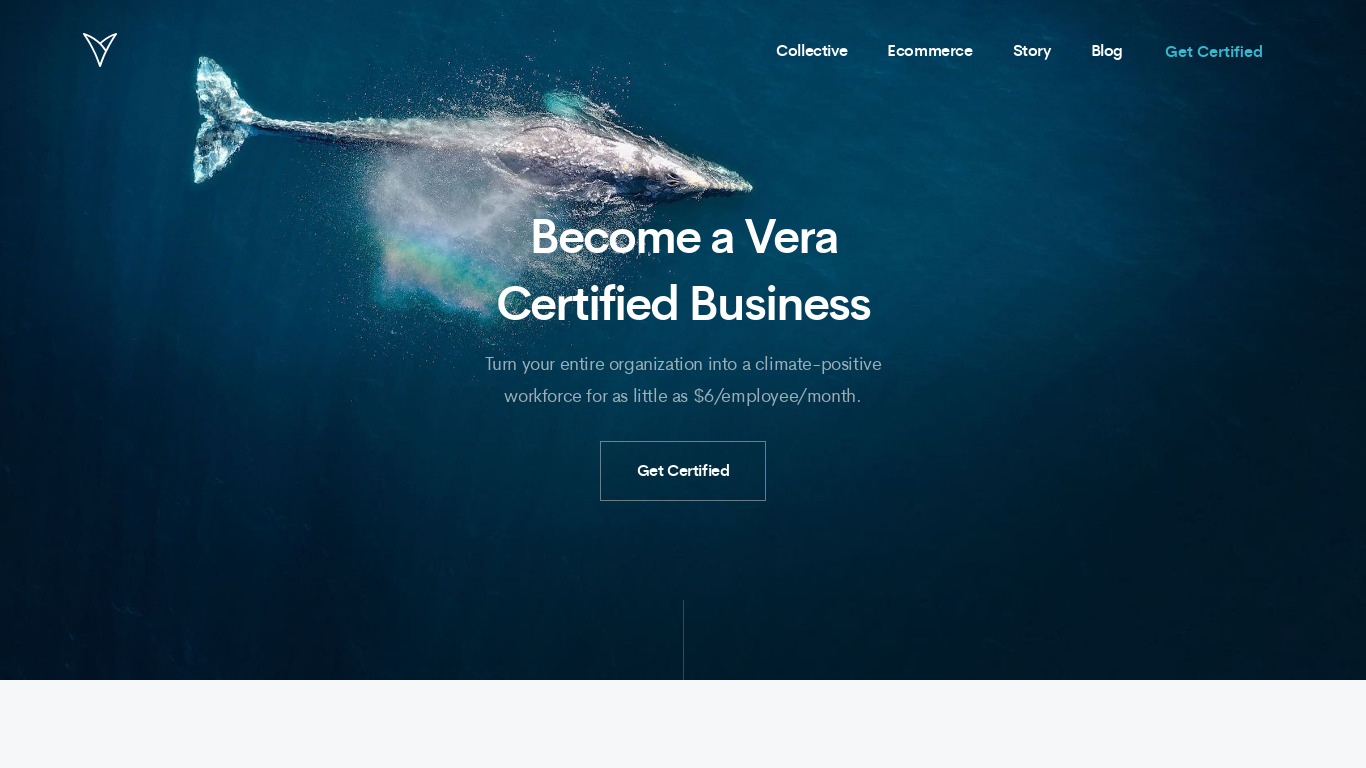 Vera for Business Landing page