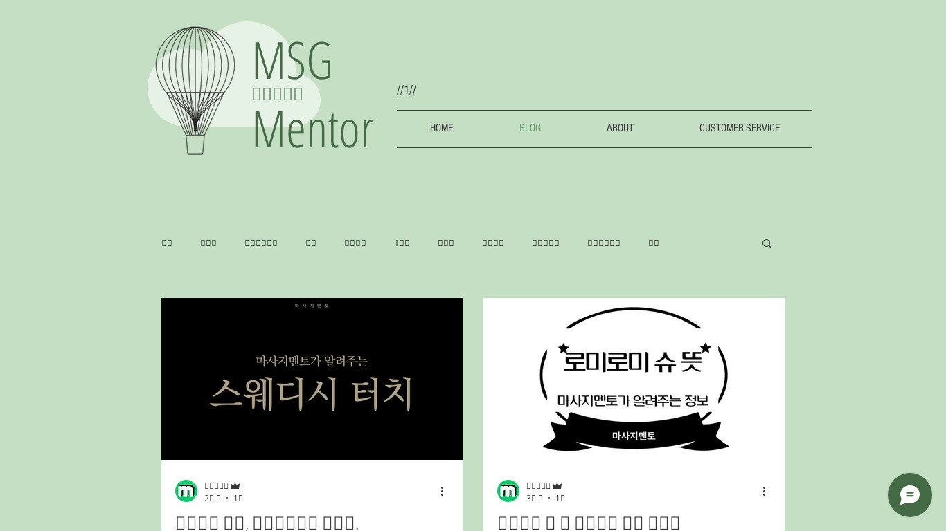 MsgMentor Landing page