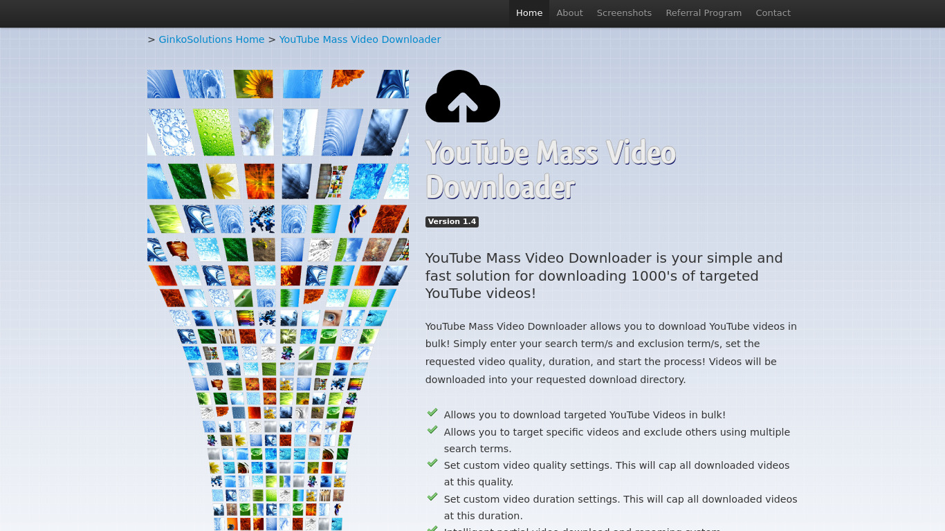 YouTube Mass Video Downloader Landing page