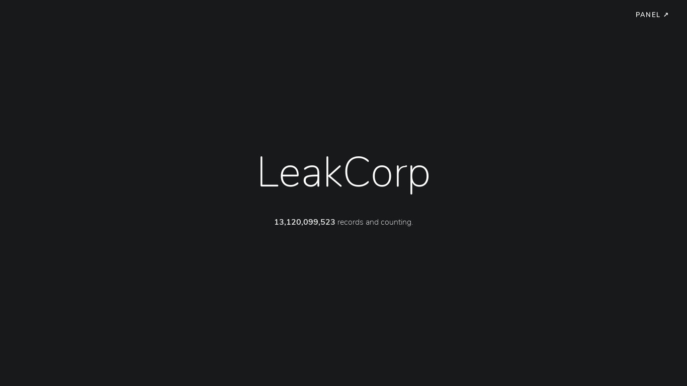 LeakCorp Landing page