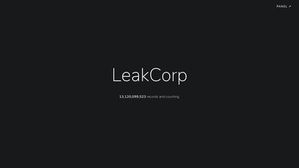LeakCorp image