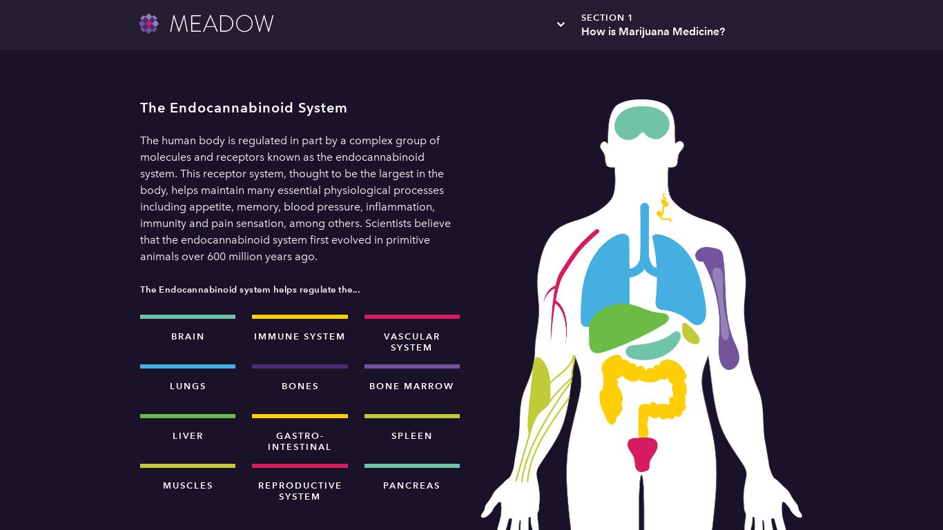Meadow Education Landing page