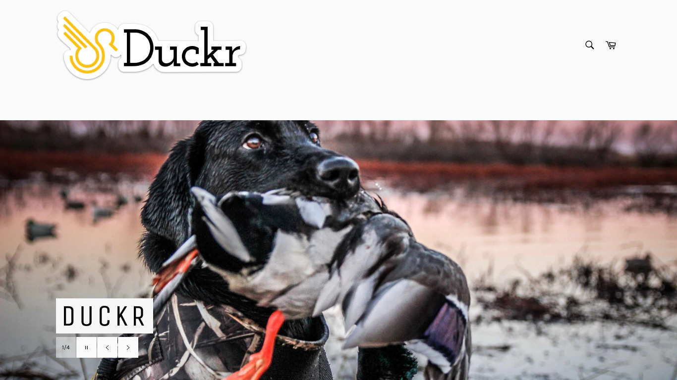 Duckr Landing page