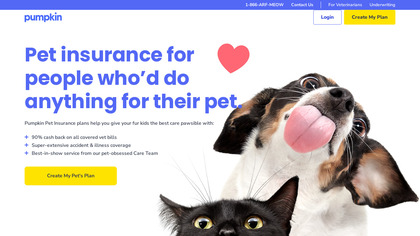Pumpkin Petcare image