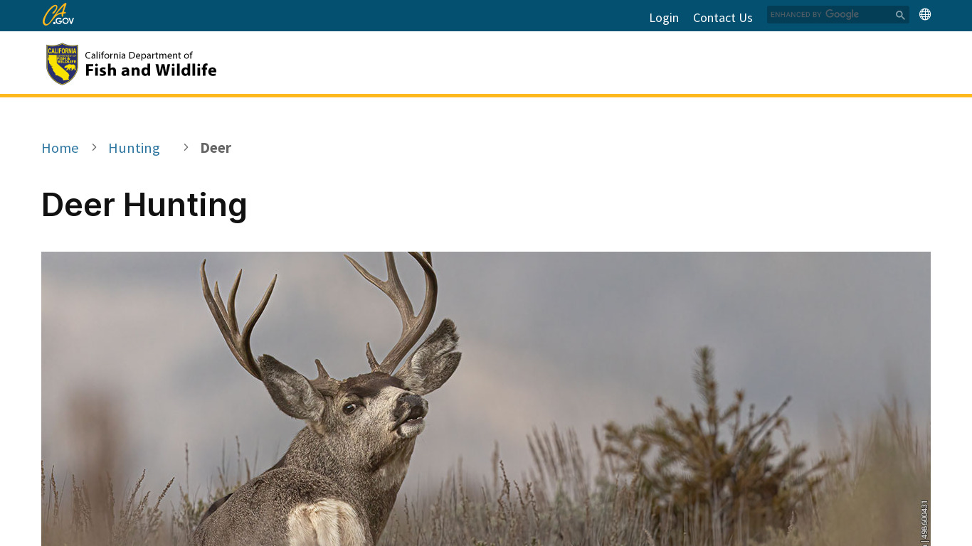 2019 Deer hunting Landing page